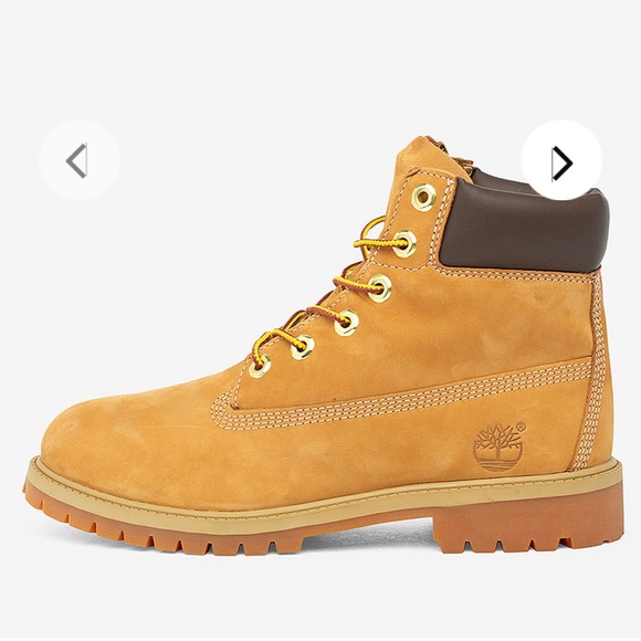 Timberland Premium Waterproof Boot| Grade School - Picture 1 of 6